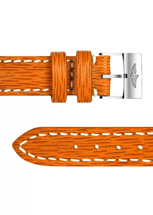 Strap