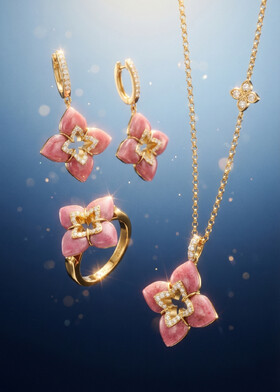 Сет Roberto Coin №4