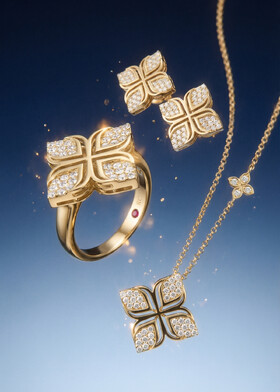 Сет Roberto Coin №6