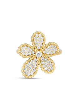 Кольцо Кольцо